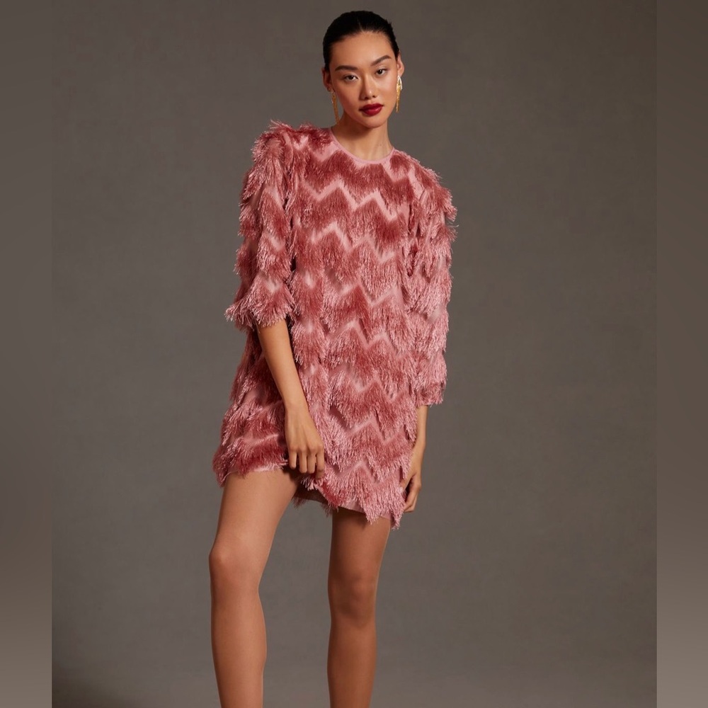Hutch Fringed Chevron Dress